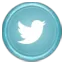 Visit Us On Twitter